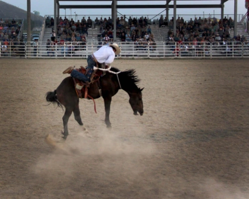 images.strideevents.com/infopages/bear-lake-county-fair-its-all-about-the-dirt-infopages-54816.webp
