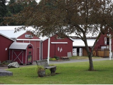 images.strideevents.com/infopages/kitsap-fair-and-stampede-association-harvest-ball-barn-dance-infopages-53059.png