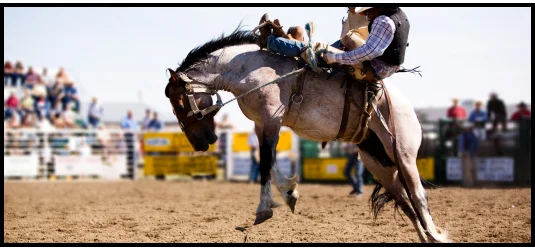 Action photo of a person riding a bucking horse.