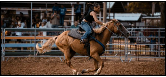 Photo of a person riding a horse at a rodeo.